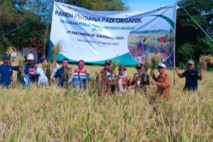 Panen perdana padi organik PPM Pertamina EP Sukowati Field bersama Dinas Ketahanan Pangan dan Pertanian serta terkait lainnya. Sumber : ist/Zuhriansyah