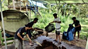 Pemuda Desa Baru, Kecamatan Sinjai Tengah, Kabupaten Sinjai yang tergabung dalam Kelompok Tani Pemuda Sartani (KTPS) mengolah kotoran sapi menjadi pupuk kompos, Sumber: Istimewa