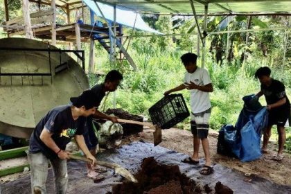 Pemuda Desa Baru, Kecamatan Sinjai Tengah, Kabupaten Sinjai yang tergabung dalam Kelompok Tani Pemuda Sartani (KTPS) mengolah kotoran sapi menjadi pupuk kompos, Sumber: Istimewa