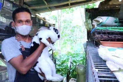 Warga Desa Sumber Rejeki, Kecamatan Juai, Kabupaten Balangan yang kini mengembangkan budidaya ternak kelinci di desanya. Sumber: Banjarmasin