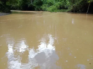 Kondisi air sungai di Desa Aha, Kecamatan Morotai Selatan, Kabupaten Pulau Morotai, Maluku Utara. Sumber : SuaraTernate.com