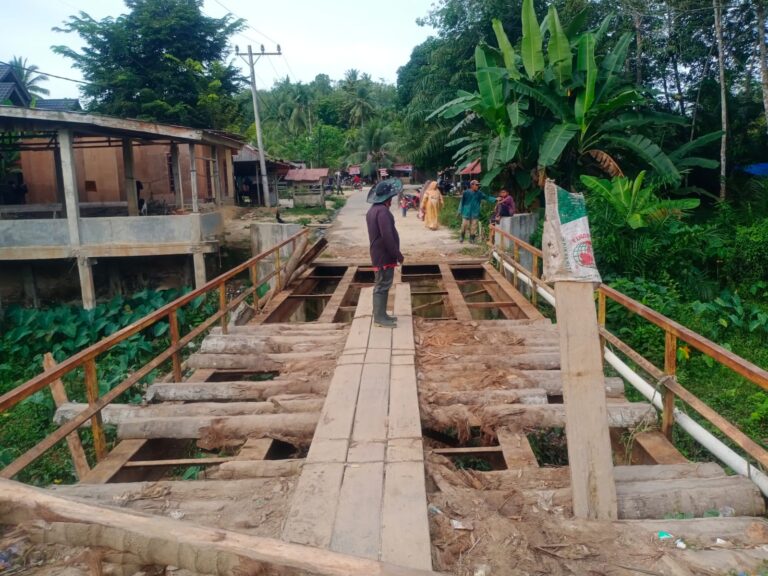 Kondisi Jembatan penghubung antar gampong di Kecamatan Peureulak rusak. Sumber:bithe.com