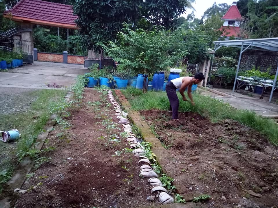 Budidaya Tanaman Hidroponik Berhasil Majukan Ekonomi Desa Gemaharjo