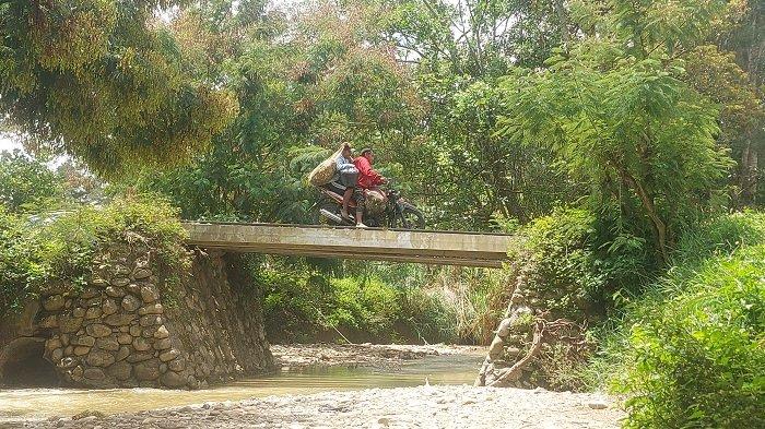 Kondisi terkini Jembatan Kali di Kampung Hubikian, Kabupaten Jayawijaya yang mengalami rusak parah. Sumber : Tribun-Papua.com