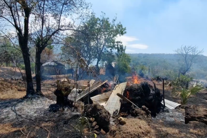 Kebakaran lahan pertanian di Banjar Dinas Peselatan, Desa Labasari, Kecamatan Abang, Karangasem. Sumber: Balitribune