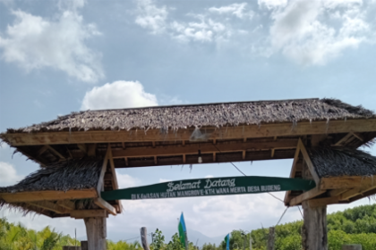 Kawasan hutan mangrove di Desa Budeng, Kabupaten JembranaSumber:Bali Tribun