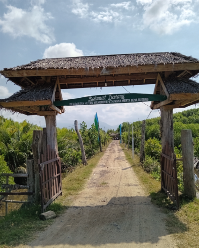 Kawasan hutan mangrove di Desa Budeng, Kabupaten JembranaSumber:Bali Tribun