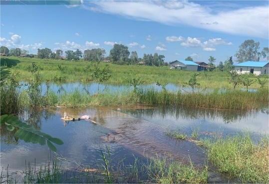 Pesona Kampung Tenggelam : Antara Tantangan dan Potensi Wisata