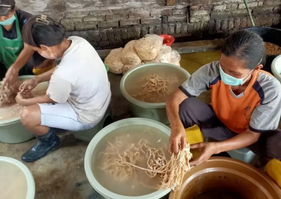 Salah satu industri rumahan yang memproduksi keripik usus di Dusun Sememi, Desa Modopuro. Sumber : indah/jprm