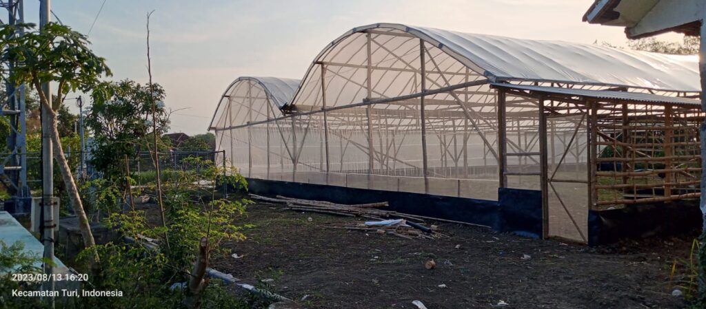 Green house wisata petik melon di Desa Turi, Kecamatan Turi, Kabupaten Lamongan. Sumber: Dokumentasi Khunaini Salim.