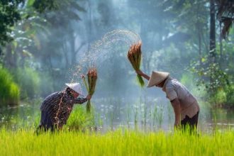 Petani Memanen Hasil Buminya. Sumber: Freepik.com