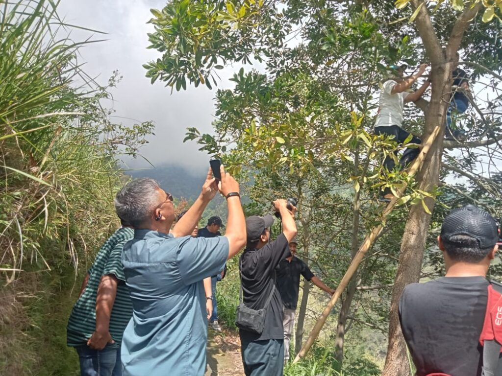 Semangat Pemuda Desa Mriyan: Bangun Ekonomi dari Agroforestri hingga Kedai Kopi Lokal