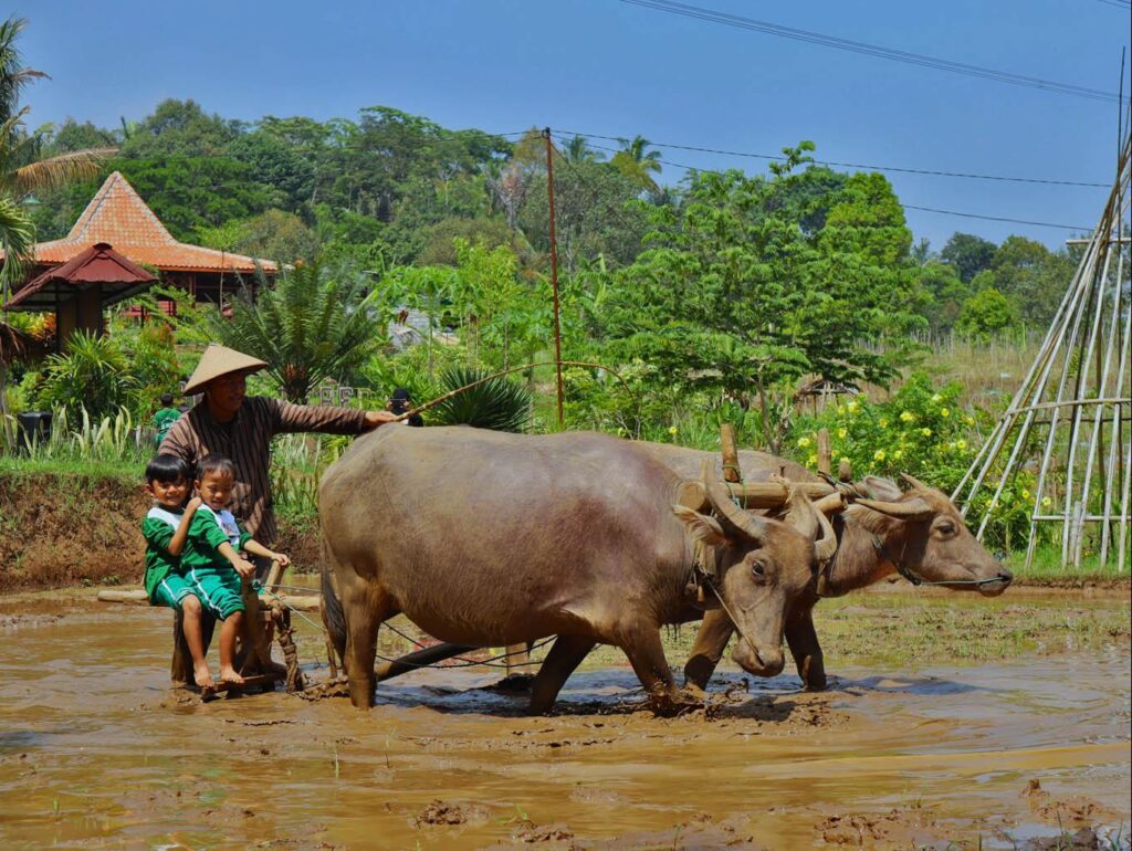 Daya Tarik Desa Wisata Lerep: Lanskap Alam, Kekayaan Budaya, dan Edukasi dalam Satu Paket