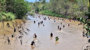 Tradisi Tubo: Warga di Desa Ngombak dan Desa Karanglangu Kecamatan Kedungjati saat berburu ikan di sungai setempat. Sumber : Intan Maylani Sabrina/Radarpati.Id