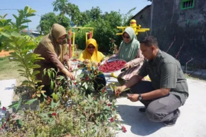 Lurah Kaliwungu Ade Yudha Kusuma menyaksikan proses olahan Tanaman Obat Keluarga (Toga) oleh warganya dengan memanfaatkan lahan terbatas dan fasum lingkungan. Sumber : Dwi Aris S/Radar Jombang