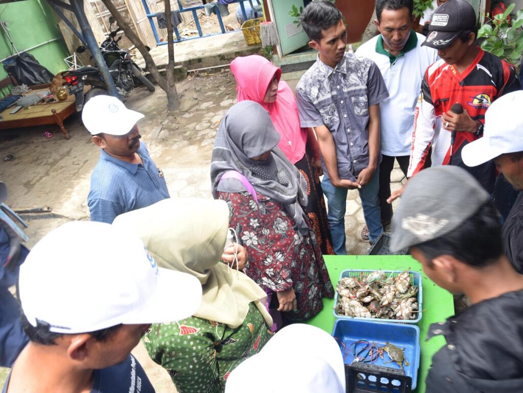 Desa Wisata Mangrove Pandansari Kaliwingi: Destinasi Wisata Hutan Mangrove Solusi Abrasi