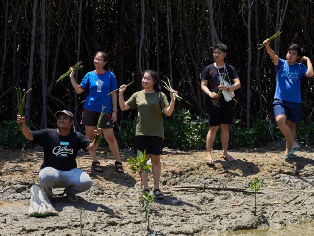 Desa Wisata Mangrove Pandansari Kaliwingi: Destinasi Wisata Hutan Mangrove Solusi Abrasi