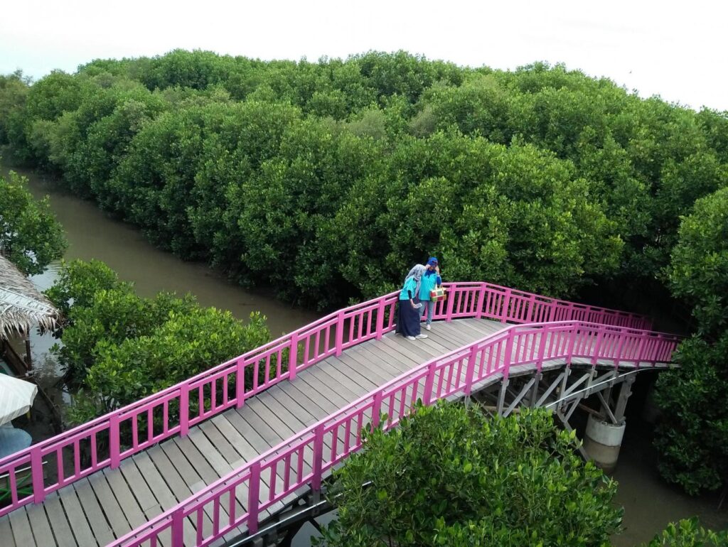 Desa Wisata Mangrove Pandansari Kaliwingi: Destinasi Wisata Hutan Mangrove Solusi Abrasi