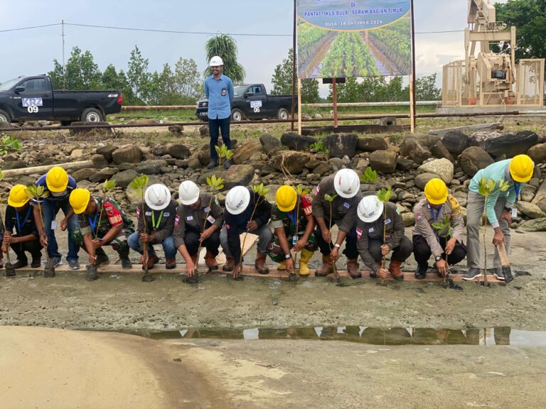 Aksi penanaman ratusan mangrove di pesisir pantai Desa Tansi Ambon. Sumber : rri.co.id