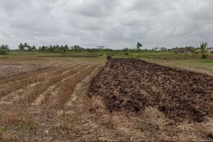 Petani di Kampung Muram Sari mulai siapkan lahan kering. Sumber : rri.co.id