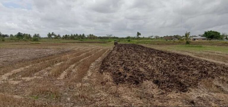 Petani di Kampung Muram Sari mulai siapkan lahan kering. Sumber : rri.co.id