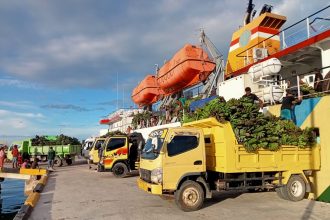Potret pengiriman komoditas pisang KPB Gabiasi menuju pasar Timika. Sumber: dokumentasi TEKAD.