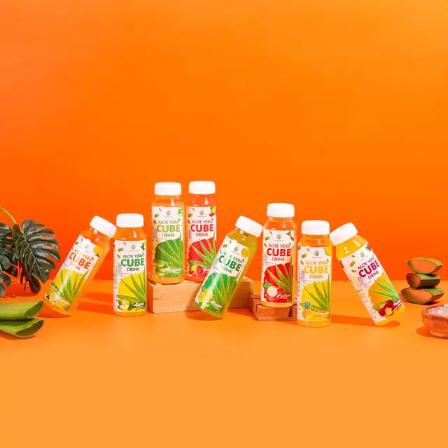 Aloe Land: Inovasi Edukasi dan Olahan Lidah Buaya Desa Katongan Aloe Land: Inovasi Edukasi dan Olahan Lidah Buaya Desa Katongan