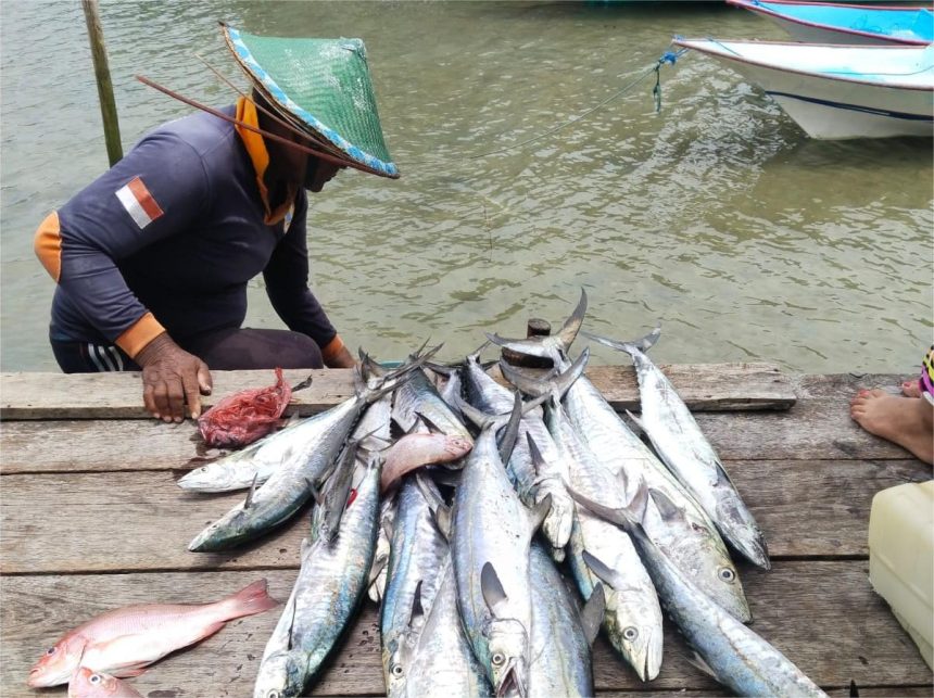 Nelayan di Kampung Arguni dan hasil tangkapan melaut ikan tenggiri dan ikan kakap putih. Sumber: dokumentasi TEKAD.