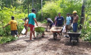 Proses pembersihan permukaan tanah yang akan digunakan untuk jalur alternatif di Dusun Kemiri, Desa Biluango. Sumber:gorontalo.antaranews.com.