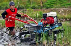 Traktor untuk pertanian.