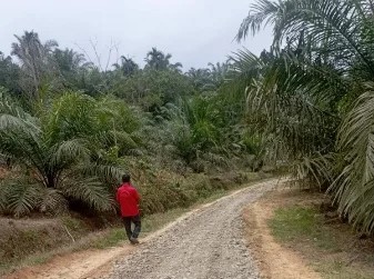 Pembangunan jalan yang diduga terjadi mark up. Sumber: Poskota.Net