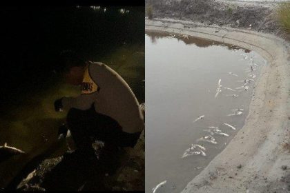 Ikan milik pembudidaya di Desa Tani banyak yang mati. Sumber: Kolomdesa.com