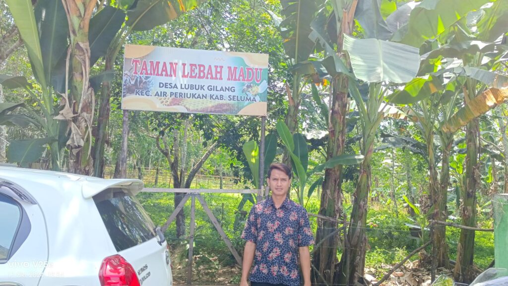 Inovasi Budidaya Lebah Kelulut di Desa Lubuk Gilang: Menggali Potensi Alam untuk Ekonomi Desa Inovasi Budidaya Lebah Kelulut di Desa Lubuk Gilang: Menggali Potensi Alam untuk Ekonomi Desa