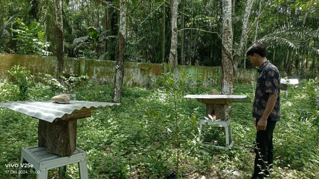 Inovasi Budidaya Lebah Kelulut di Desa Lubuk Gilang: Menggali Potensi Alam untuk Ekonomi Desa Inovasi Budidaya Lebah Kelulut di Desa Lubuk Gilang: Menggali Potensi Alam untuk Ekonomi Desa