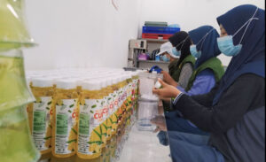 Proses Packing Produk Aloe Land. Sumber: Dokumentasi Alan Efendi