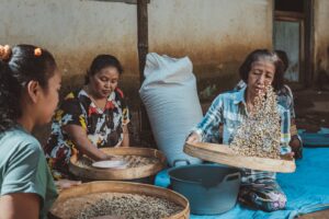 Kegiatan sortasi yang dilakukan oleh kelompok perempuan di Sekolah Kopi RAISA. Sumber: Dokumentasi Saleh.