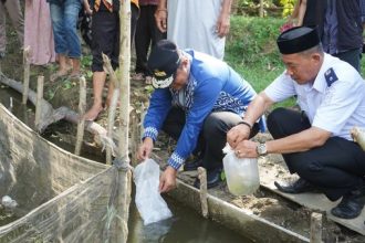 Gubernul Sulbar dan Pjs Kades Pammulukang saat menebar bibit ikan Nila. Sumber: Detik.com