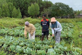 Mama-mama di Kampung Iraeweri sedang melakukan aktivitas. Sumber: dokumentasi TEKAD.