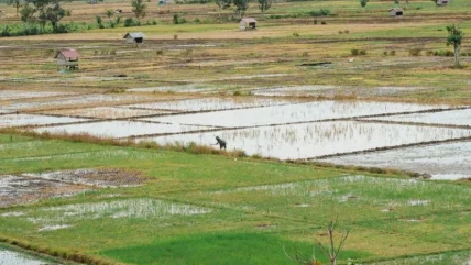 Desa Sedahan Jaya Berhasil Raih Penghargaan Desa Cantik