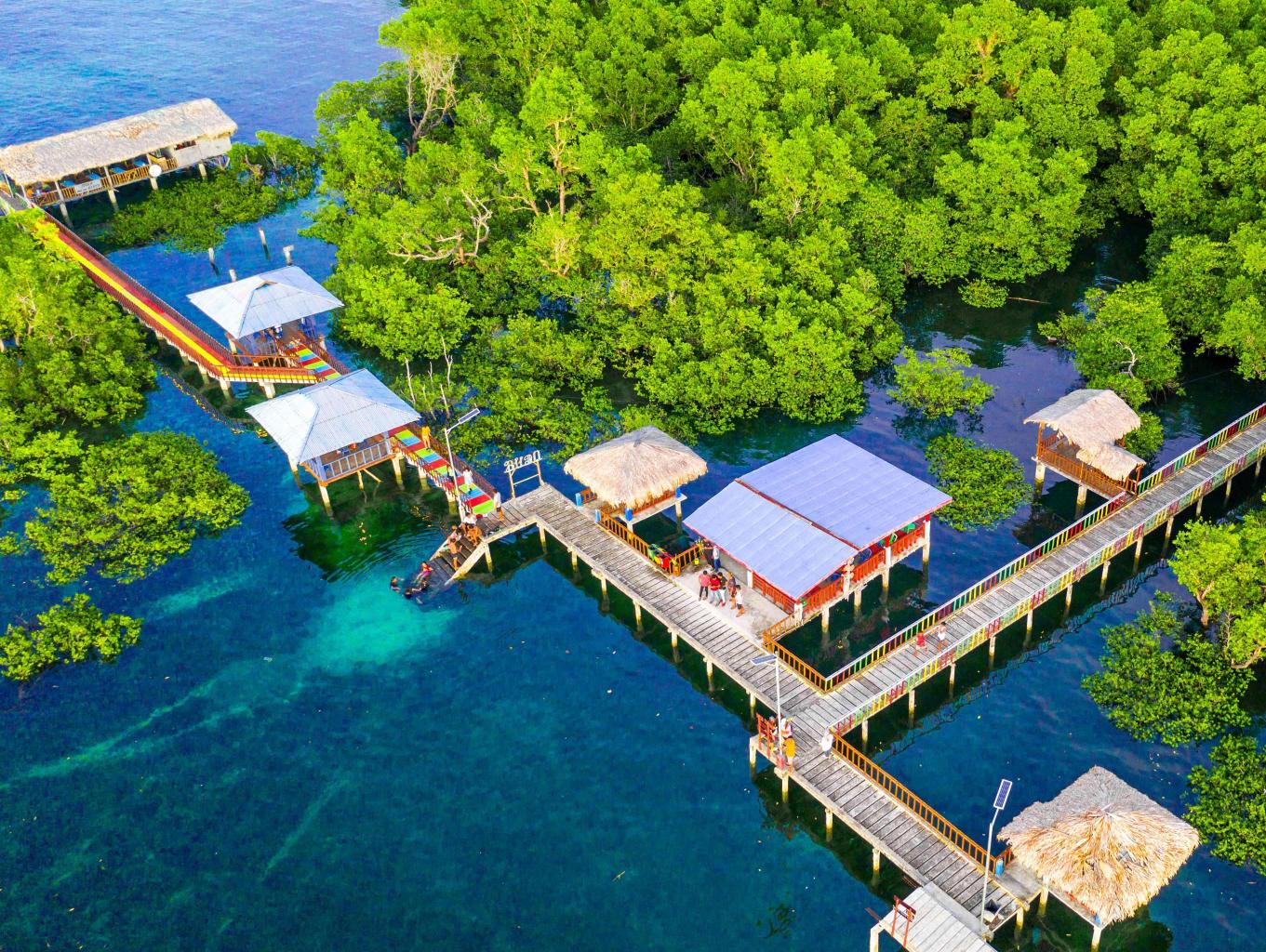 Desa Wisata Budo: Keindahan Alam Hutan Mangrove dan Alam Bawah Laut ...