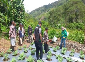 Kelompok Tani Mawar mengunjungi kebun sayur kol. Sumber: dokumentasi TEKAD.