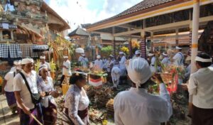 Prosesi upacara serangkaian Karya Mepadudusan Alit, Ngenteg Linggih, Ngresi Gana lan Mupuk Pedagingan di Desa Adat Silungan, Lodtuduh, Ubud, Gianyar. Sumber foto : WartaBali