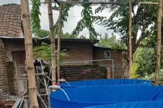 BUMDes Sumberjati, Kecamatan Mojoanyar membudidayakan ikan lele untuk memenuhi kebutuhan pangan dan meningkatkan perekonomian warga. Sumber : Pemdes Sumberjati