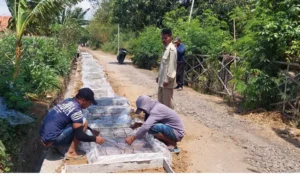 Sekdes Patokan Soleh Hudin (bediri), meninjau langsung proses pembangunan drainase di Dusun Krajan. Sumber : Arif Mashudi/Jawa Pos Radar Bromo