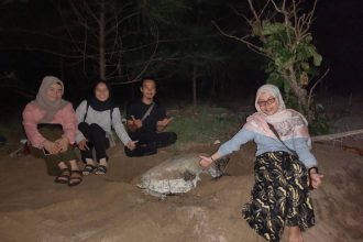 Para wisatawan Bermain Dengan Penyu saat Mengunjungi Desa Wisata Sebubus, Sumber: Dok. Jadesta