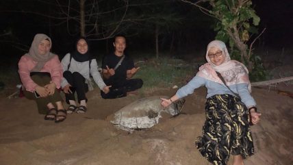 Mengenal Ekowisata Desa Sebubus, dari Hutan Mangrove hingga Tempat Peneluran Penyu Terpanjang di Indonesia 