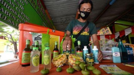 Kelompok Tiandi Oransbari Inovasi Tepung Lindur: Pemanfaatan Buah Mangrove yang Bernilai Ekonomi Tinggi