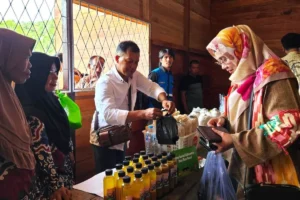 Program Desa Berdaya PLN melalui Unit Induk Pembangunan Kalimantan Bagian Barat (UIP KLB) di Kabupaten Sintang, Kalimantan Barat membantu sejumlah fasilitas dalam menggali potensi desa untuk ikut majukan ekonomi daerah.