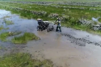 Penggarapan lahan pertanian di Desa Bentuk Jaya, Kecamatan Dadahup, Kabupaten Kapuas. Sumber: HO-Pemdes Bentuk Jaya.