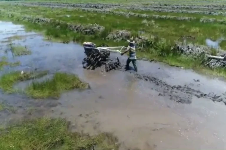 Penggarapan lahan pertanian di Desa Bentuk Jaya, Kecamatan Dadahup, Kabupaten Kapuas. Sumber: HO-Pemdes Bentuk Jaya.